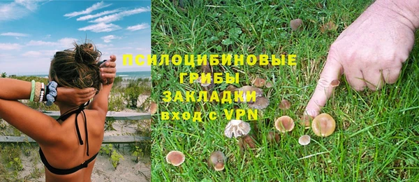 эйфоретик Арсеньев