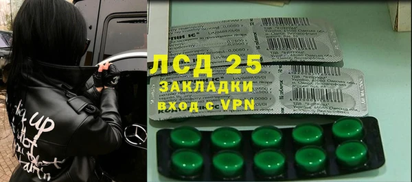 эйфоретик Арсеньев