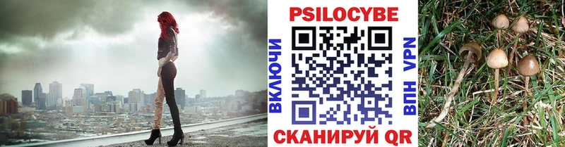 Галлюциногенные грибы Magic Shrooms  наркошоп  Голицыно 