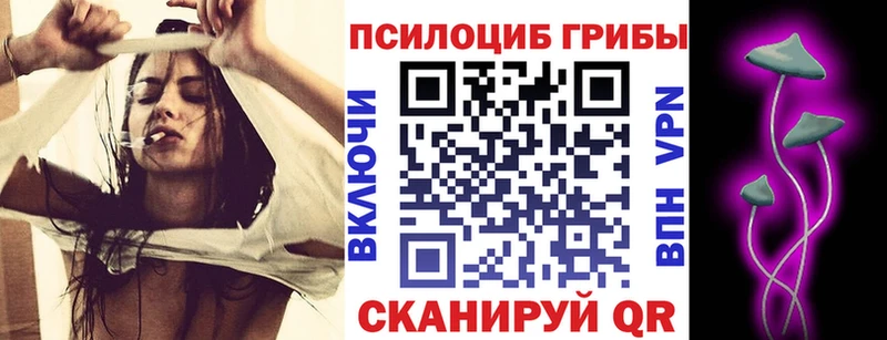 Псилоцибиновые грибы GOLDEN TEACHER Голицыно